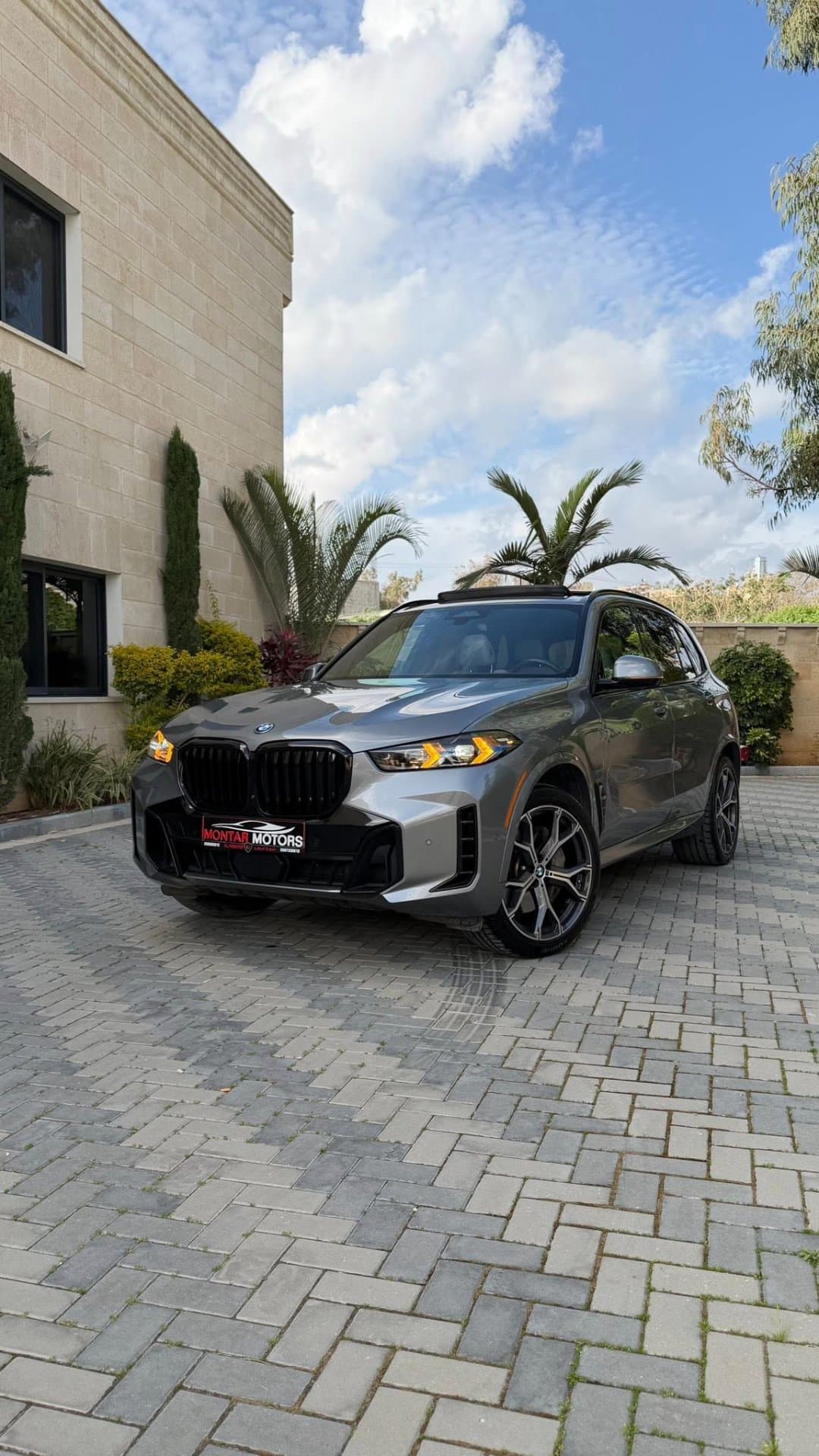 BMW X5 50e